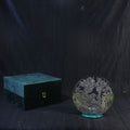 Parrot Tealight Small W/box
