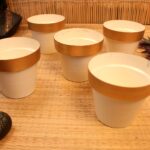 Iron White Pot Planter Set Of 5