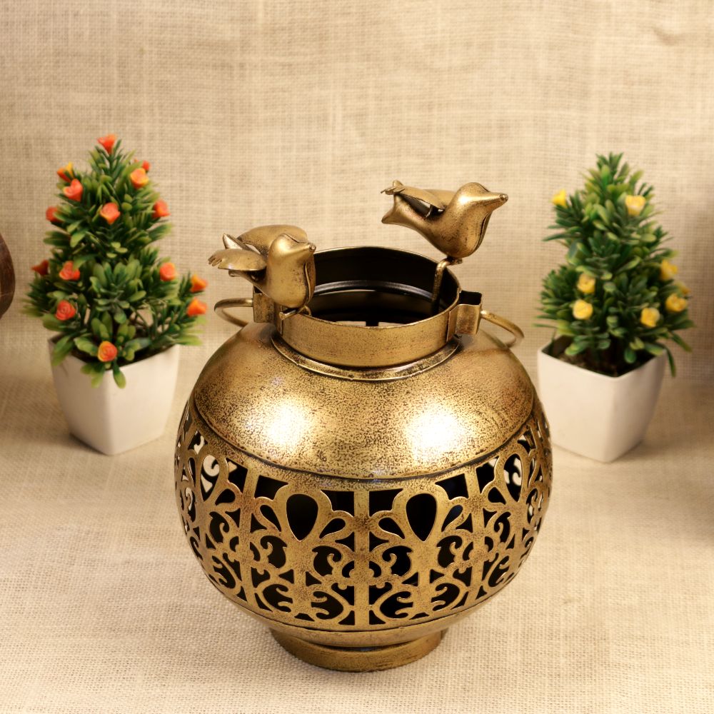 IRON BIRD LOTA 172I